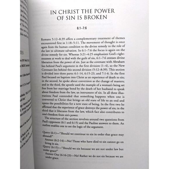 ROMANS - Smyth & Helwys Bible Commentary - Ex-Seminary-Student - SEE DESCRIPTION - Picture 8 of 10